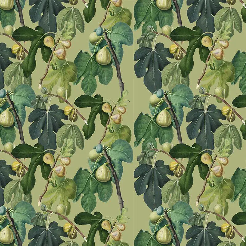 Figtastic Wallpaper Vladila