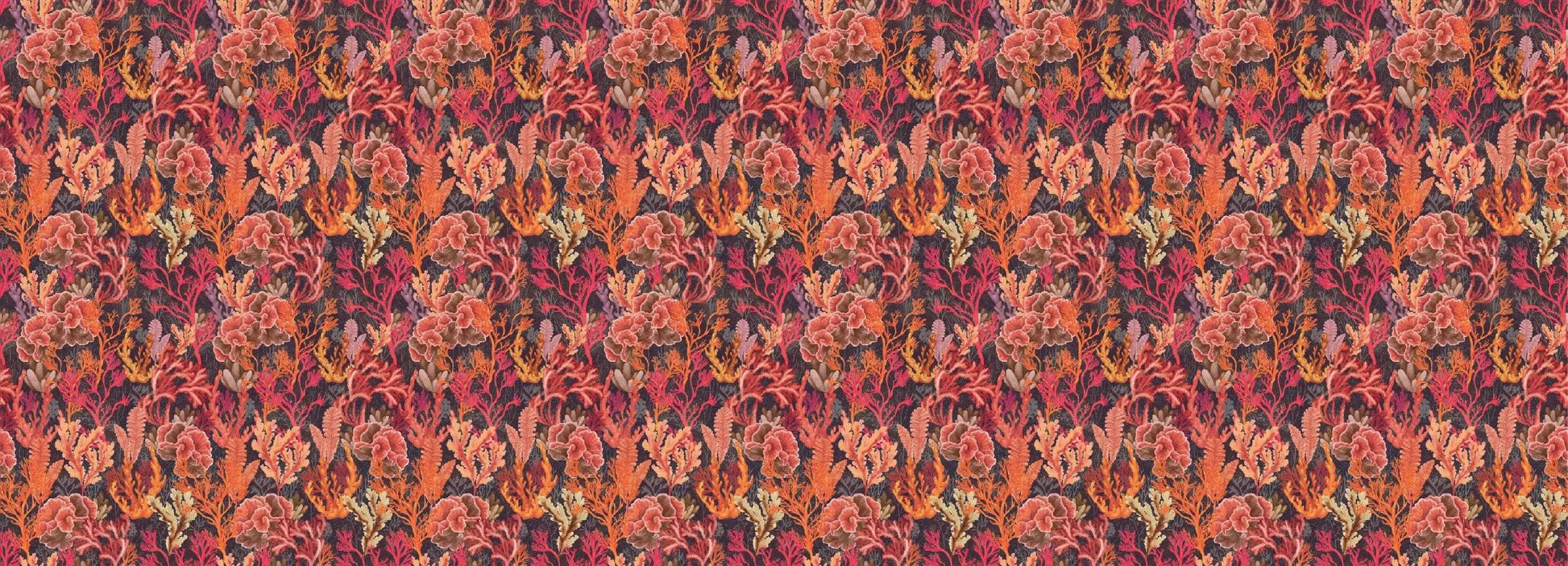 Corallium Cuvier red Wallpaper Vladila