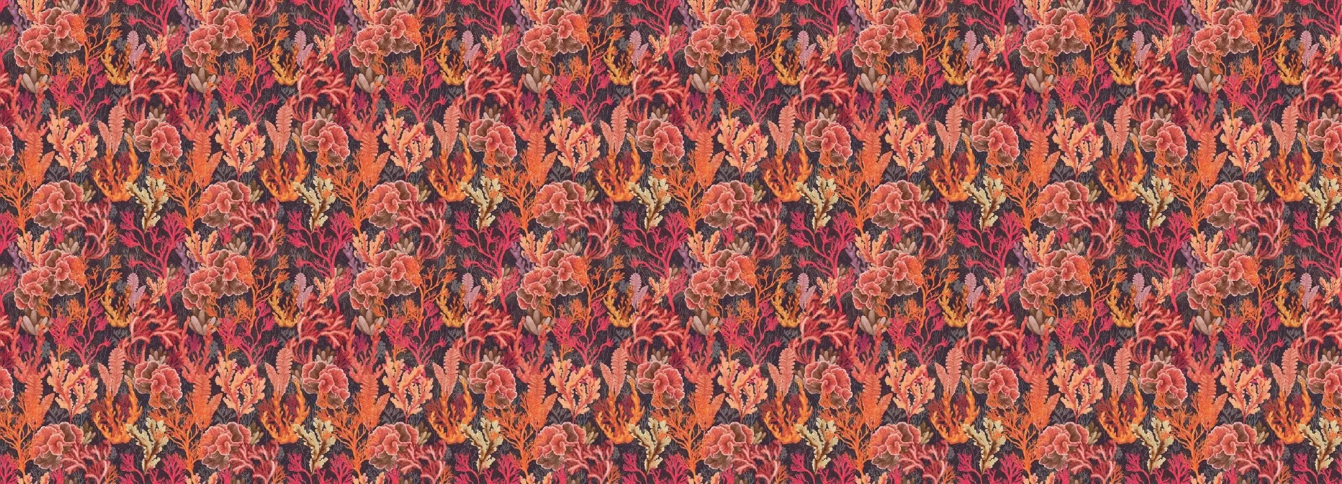 Corallium Cuvier red Wallpaper Vladila