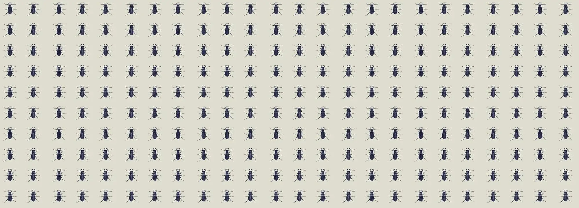 Bugs Wallpaper Vladila