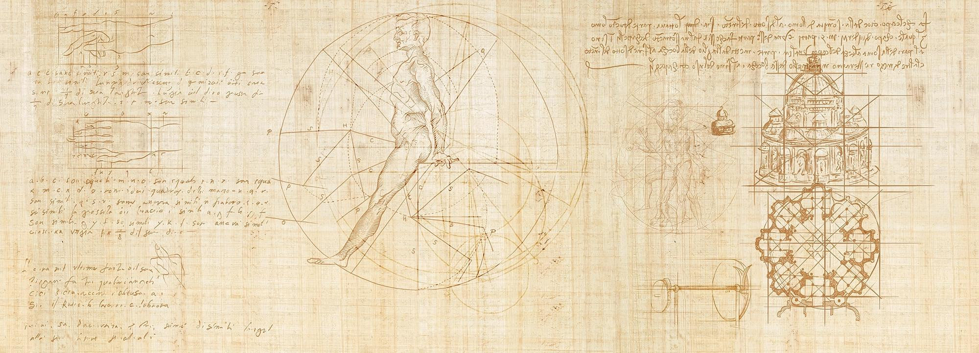 Master of knowledge Wallpaper Vladila