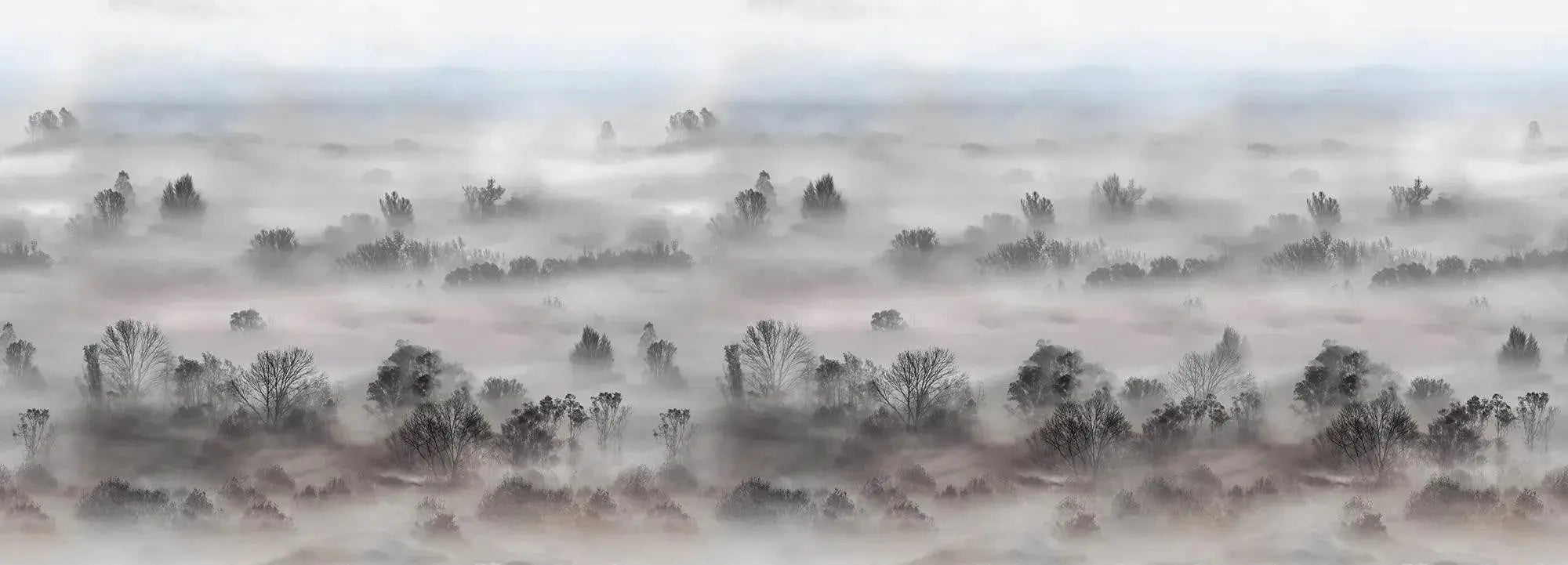 Foggy Landscape Pastels Wallpaper Vladila