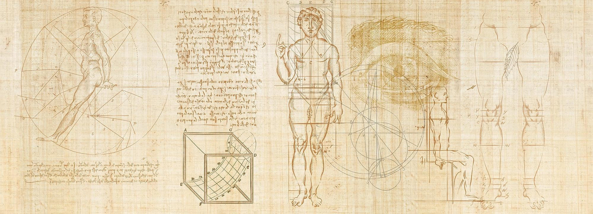 Anatomy of numbers Wallpaper Vladila