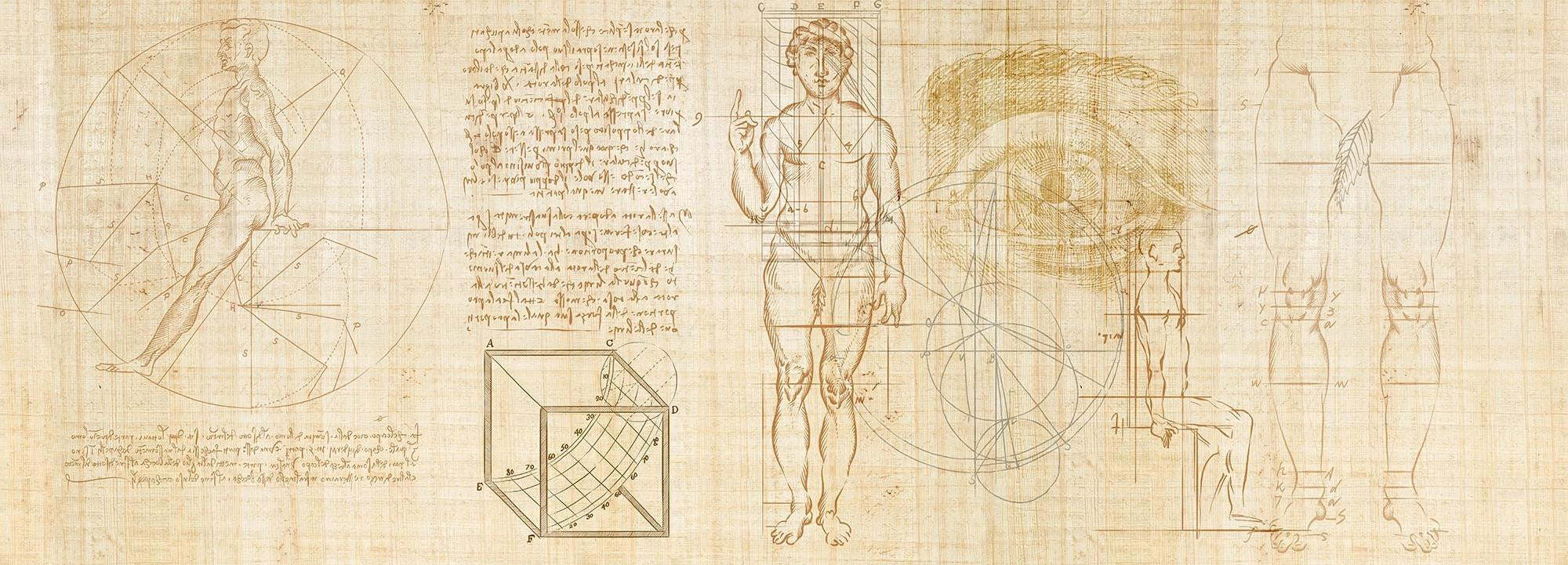 Anatomy of numbers Wallpaper Vladila