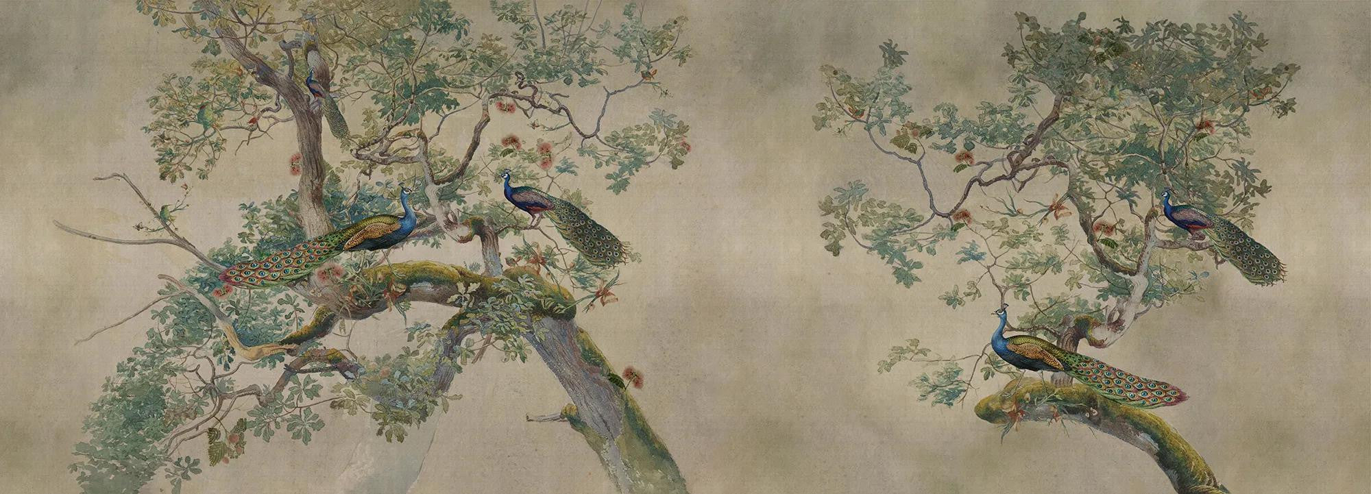 Eden Peacock Wallpaper Vladila