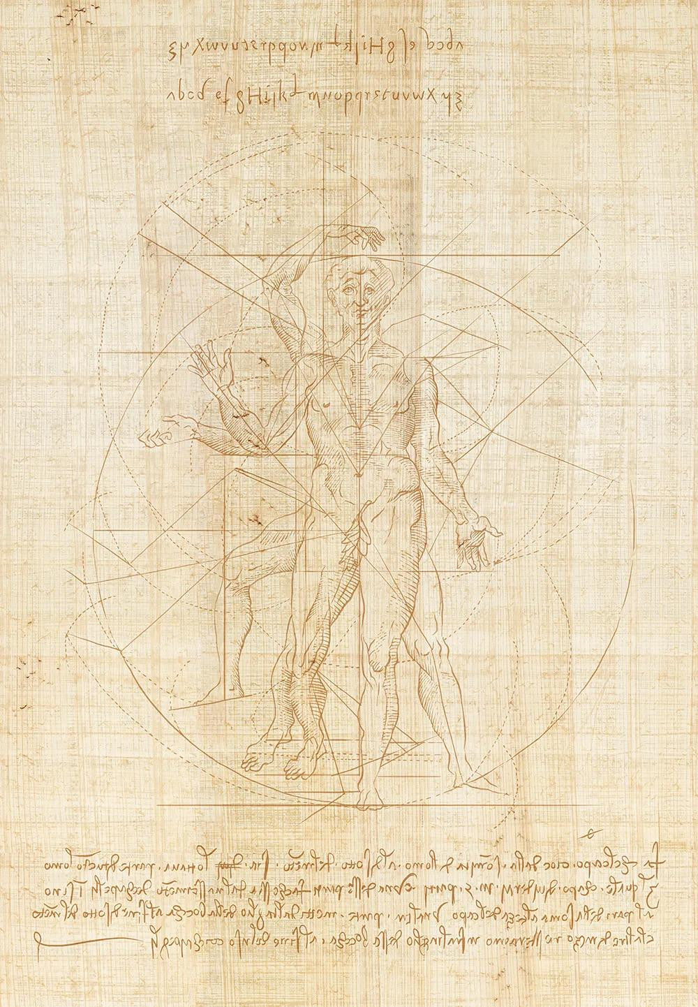 Golden Ratio Wallpaper Vladila