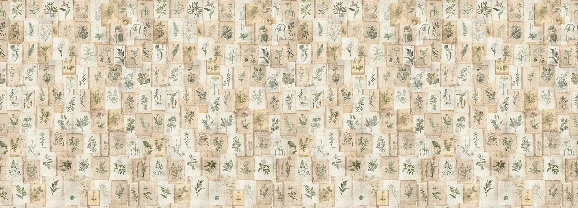 Vintage Herbarium Wallpaper Vladila