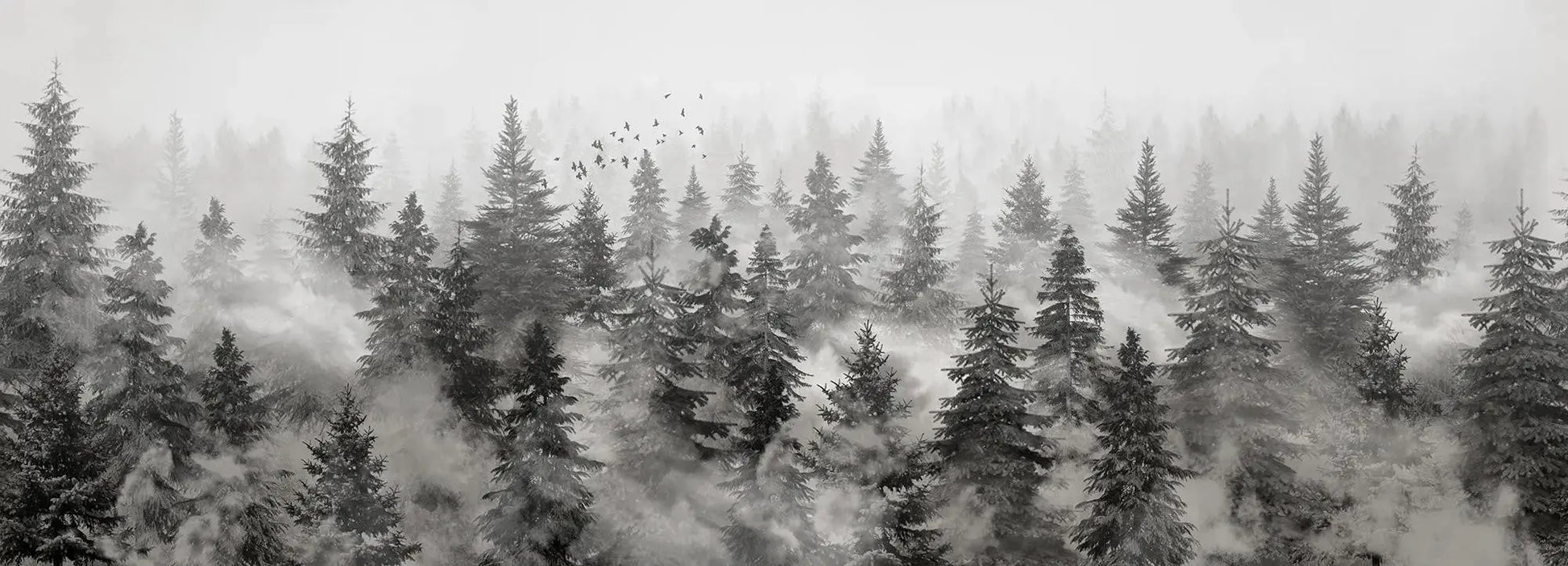 Rivian Forest Charcoal Wallpaper Vladila
