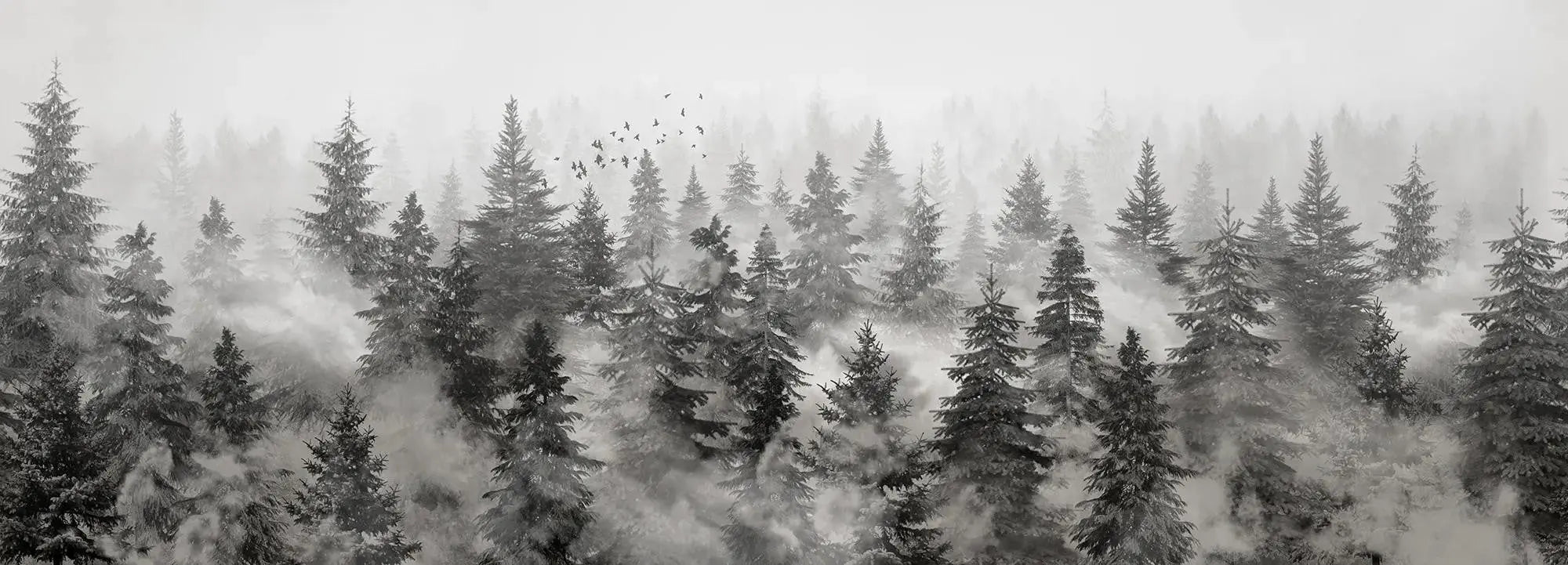 Rivian Forest Charcoal Wallpaper Vladila