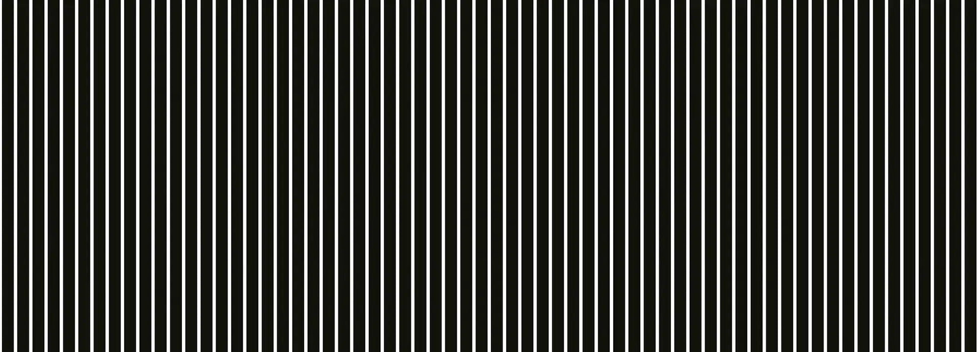 White and Black Stripes Wallpaper Vladila
