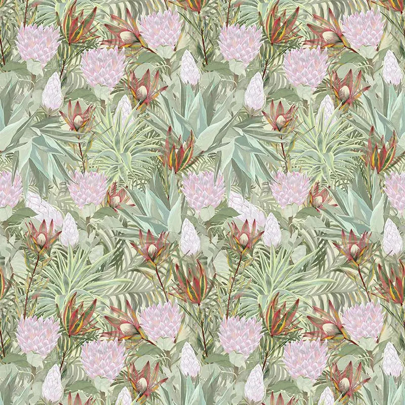Conebush Safari Wallpaper Vladila