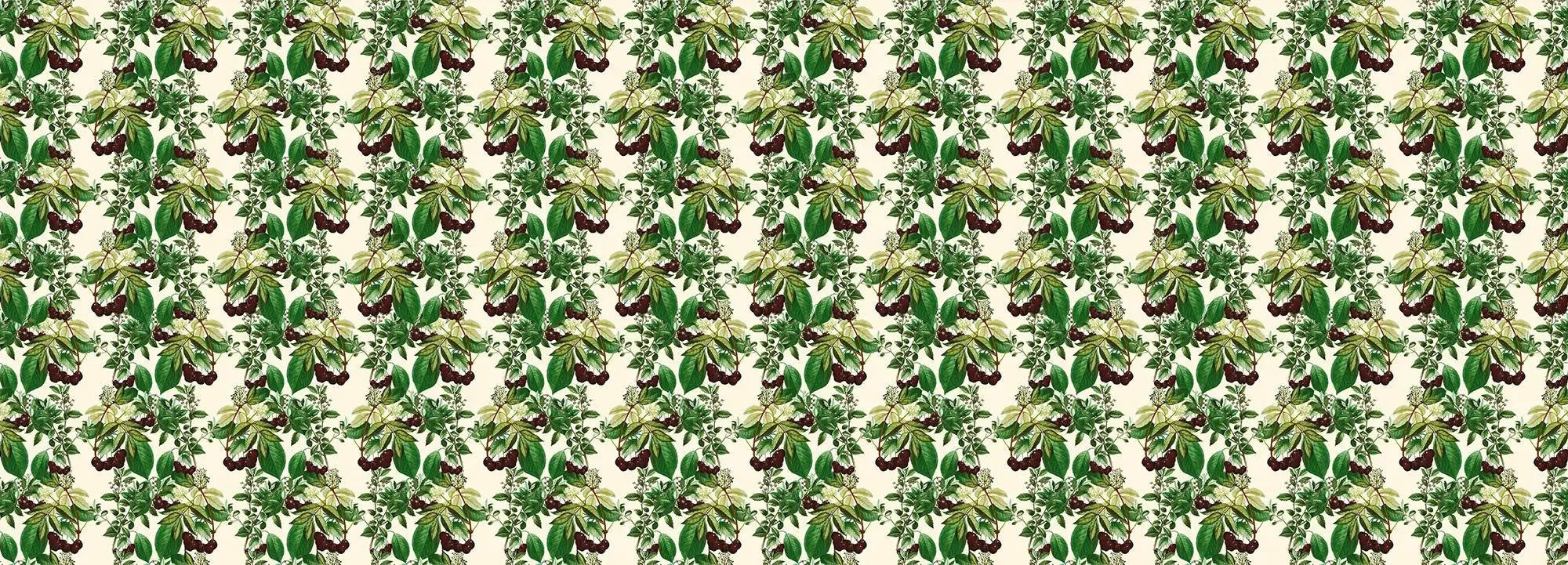 Cherry Context Wallpaper Vladila