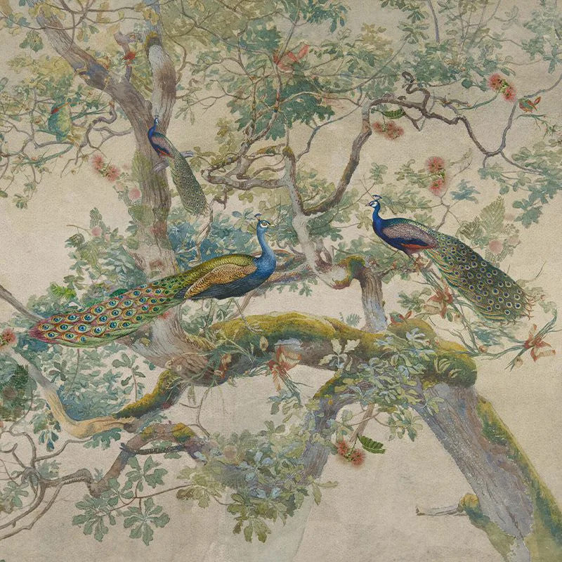 Eden Peacock Wallpaper Vladila