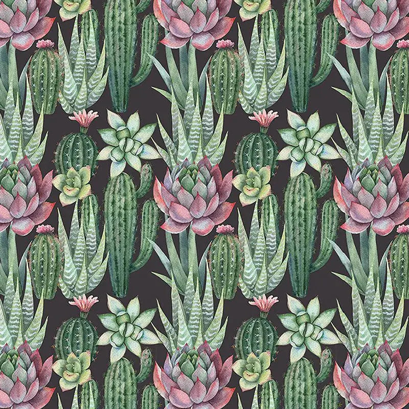 Succulents Wallpaper Vladila
