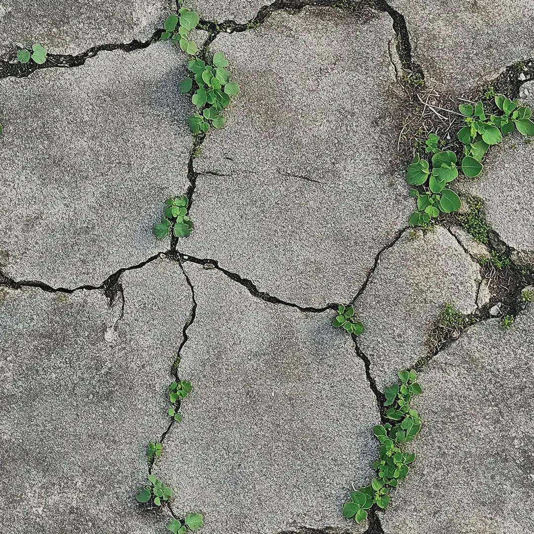 Resilience in Cracked Stone - WallCreatives