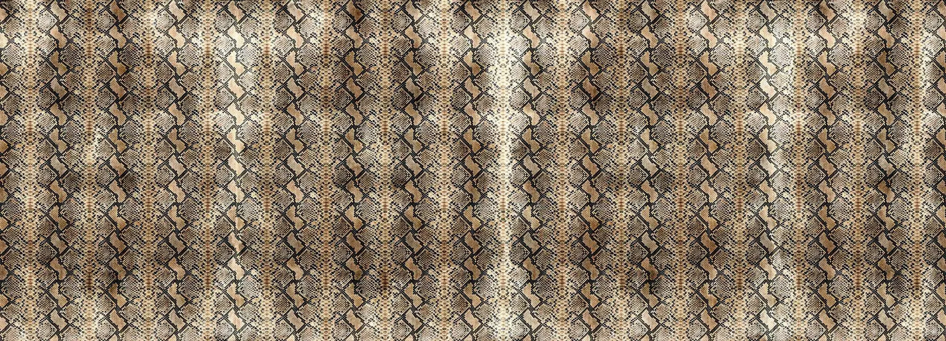 Sansevieria Wallpaper Vladila