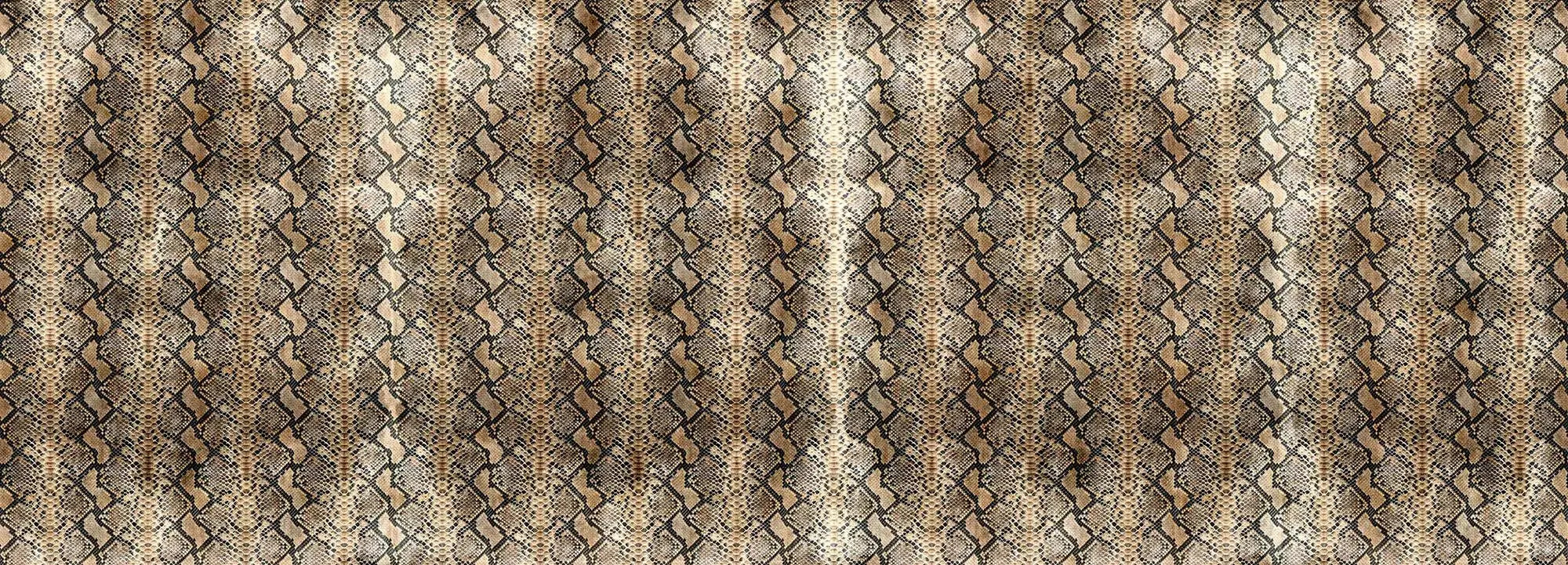 Sansevieria Wallpaper Vladila