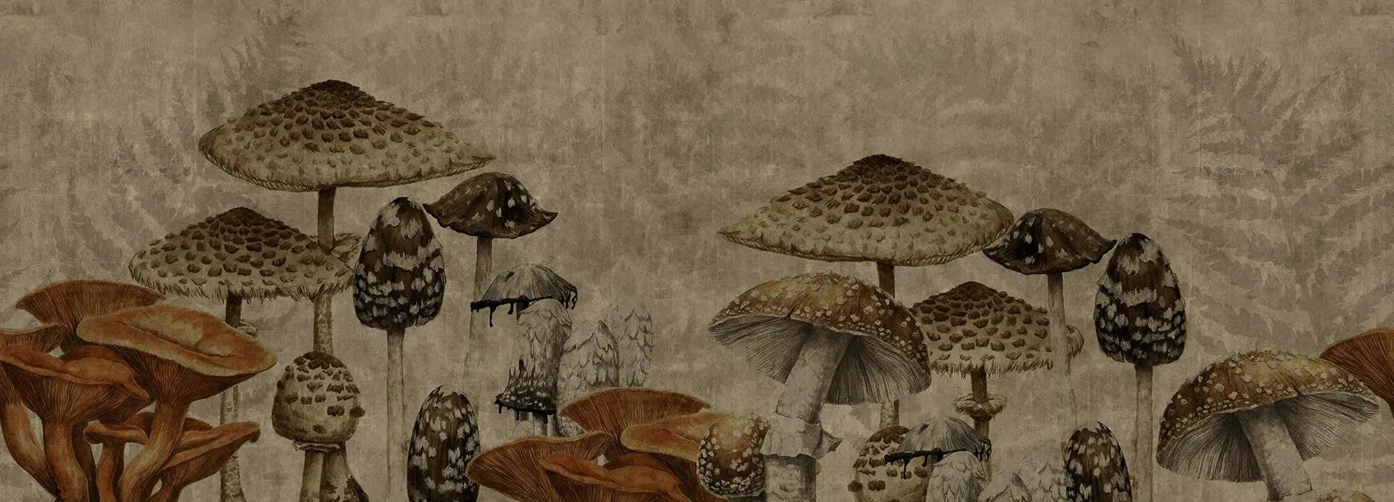 Old Fungarium Wallpaper Vladila