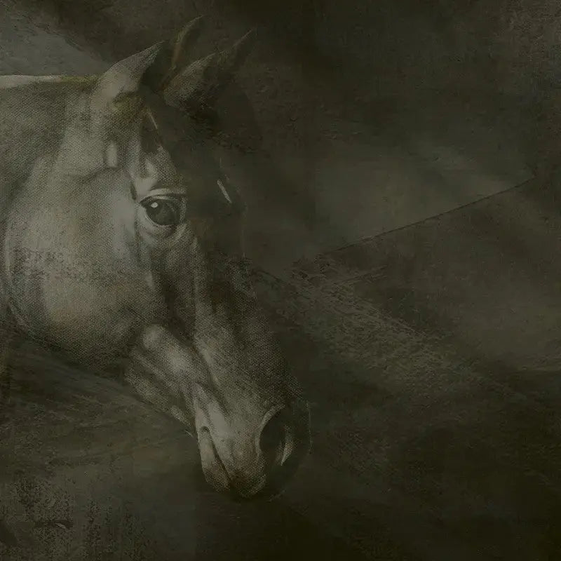 Friesian Charm Wallpaper Vladila