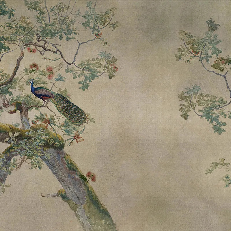 Eden Peacock Wallpaper Vladila