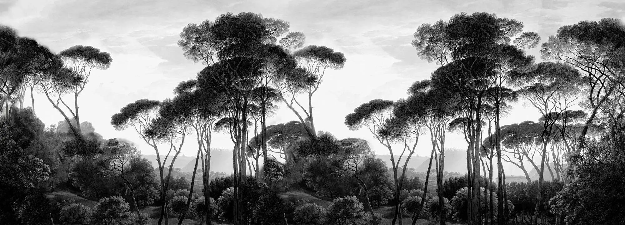Taormina Pines Wallpaper Vladila