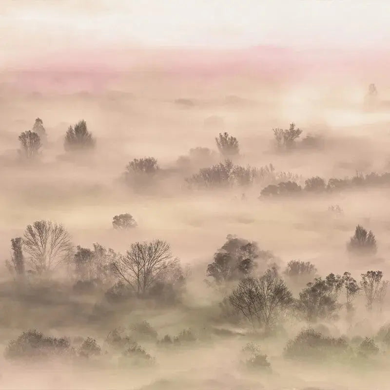 Foggy Landscape Peach Wallpaper Vladila