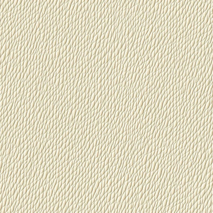 Elegant Ivory Shagreen Wallcovering - WallCreatives