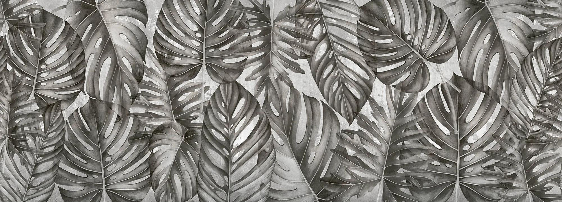 Grey Philodendron Wallpaper Vladila