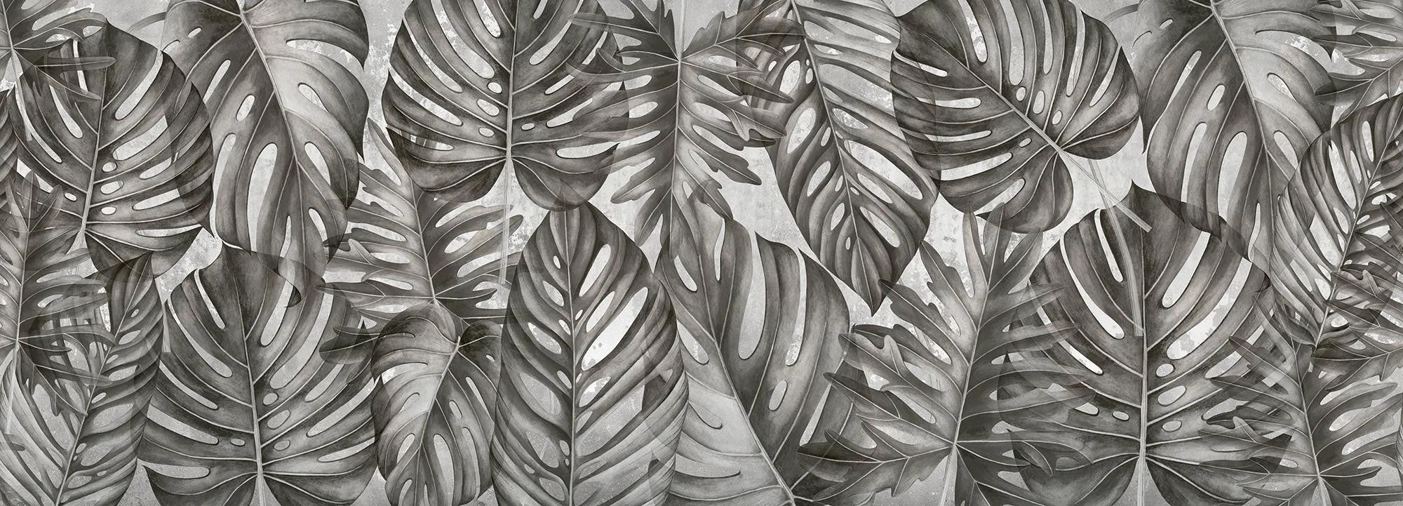 Grey Philodendron Wallpaper Vladila