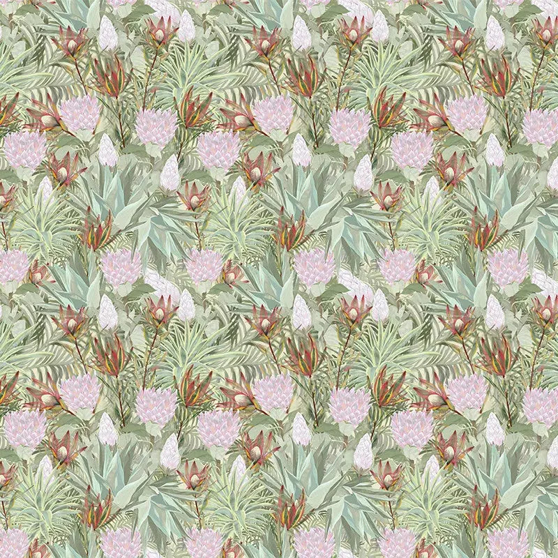 Conebush Safari Wallpaper Vladila