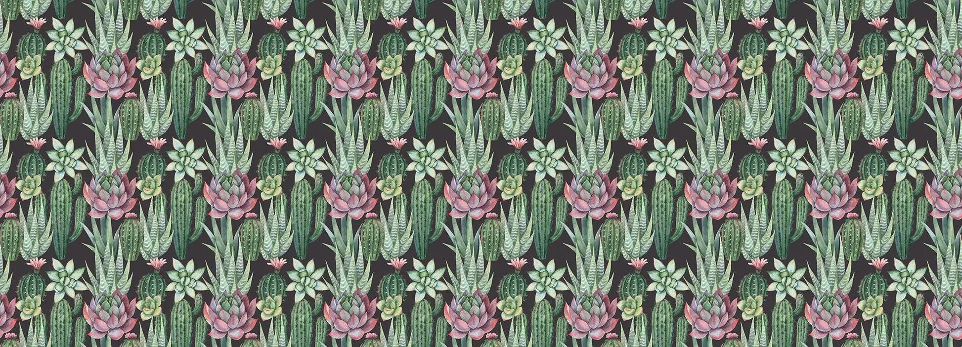 Succulents Wallpaper Vladila