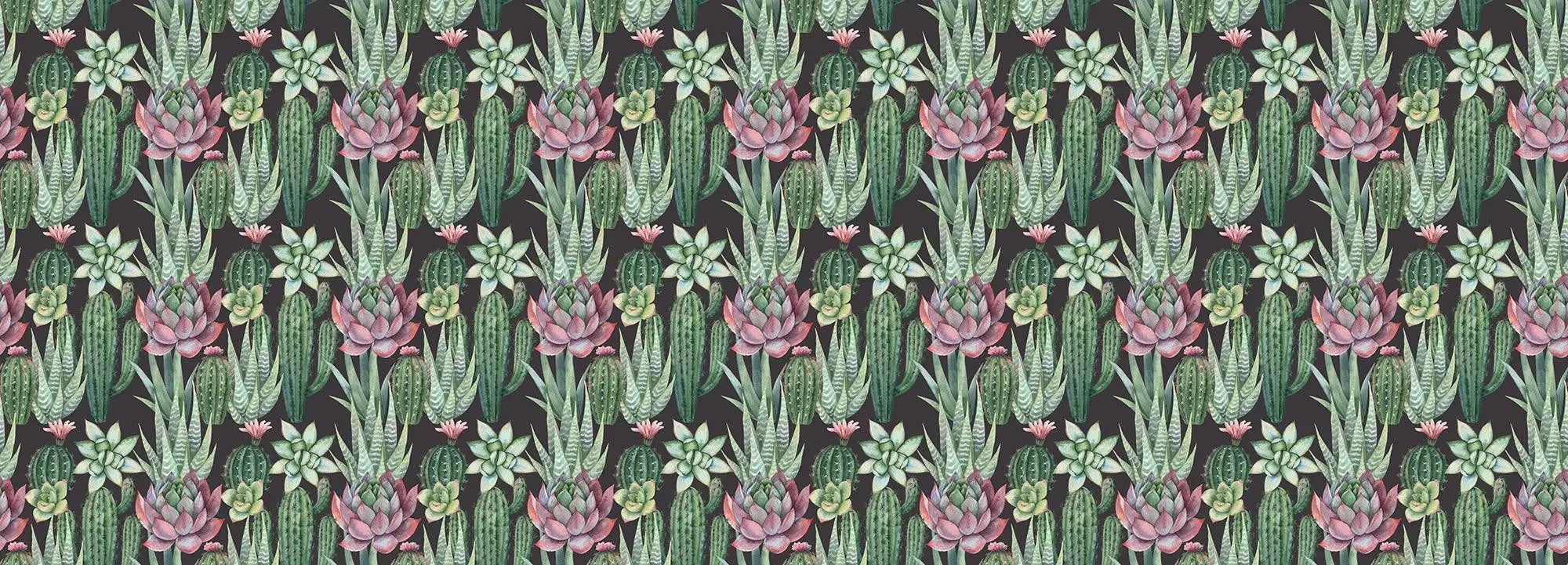 Succulents Wallpaper Vladila