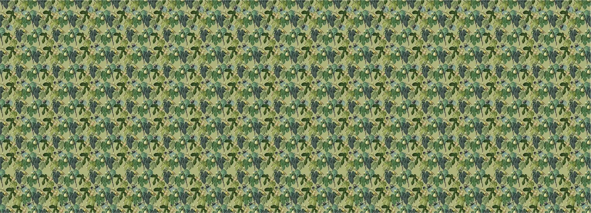 Figtastic Wallpaper Vladila