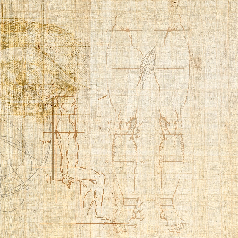 Anatomy of numbers Wallpaper Vladila