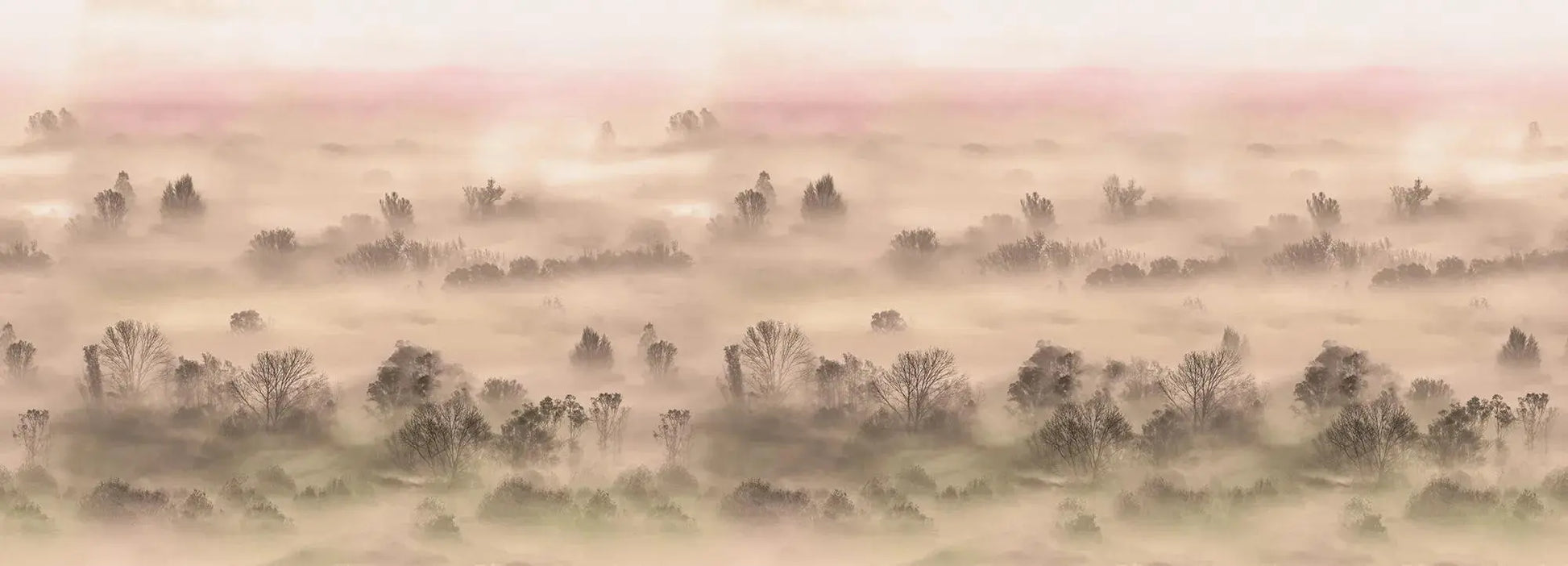 Foggy Landscape Peach Wallpaper Vladila