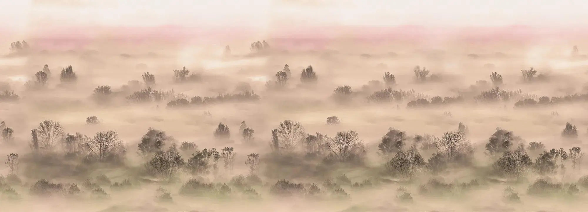 Foggy Landscape Peach Wallpaper Vladila