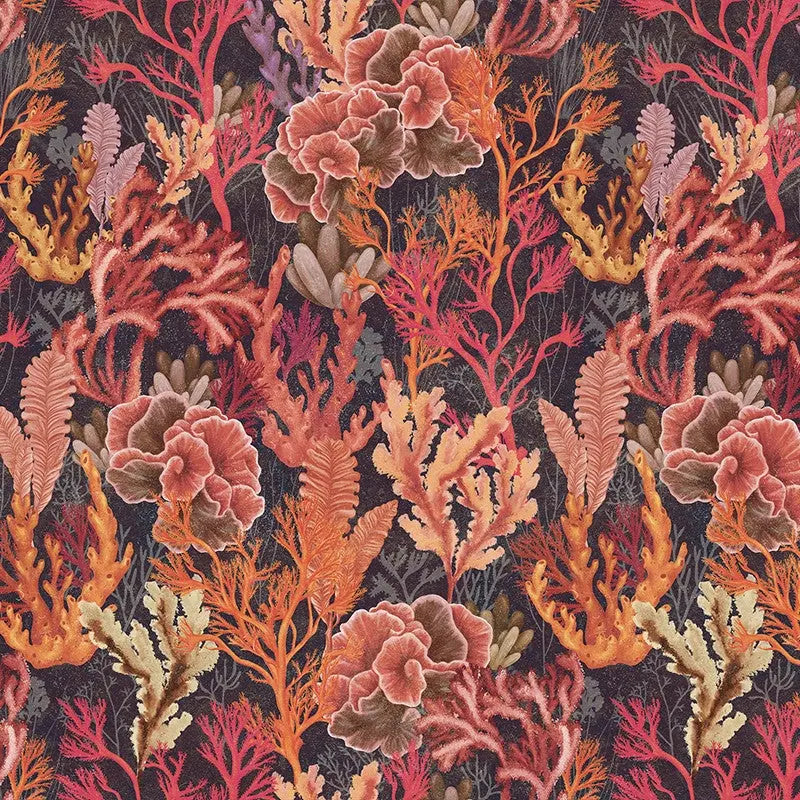 Corallium Cuvier red Wallpaper Vladila