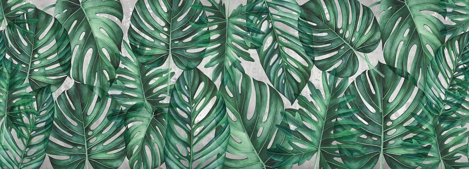Green Philodendron Wallpaper Vladila