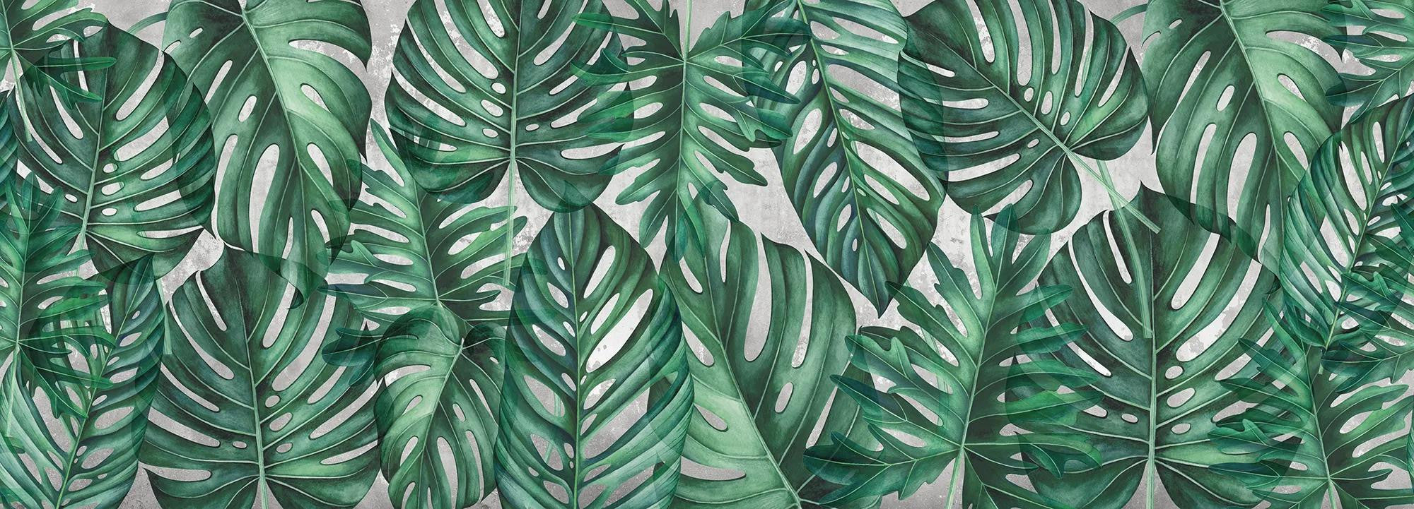 Green Philodendron Wallpaper Vladila