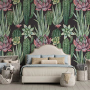 Succulents Wallpaper Vladila
