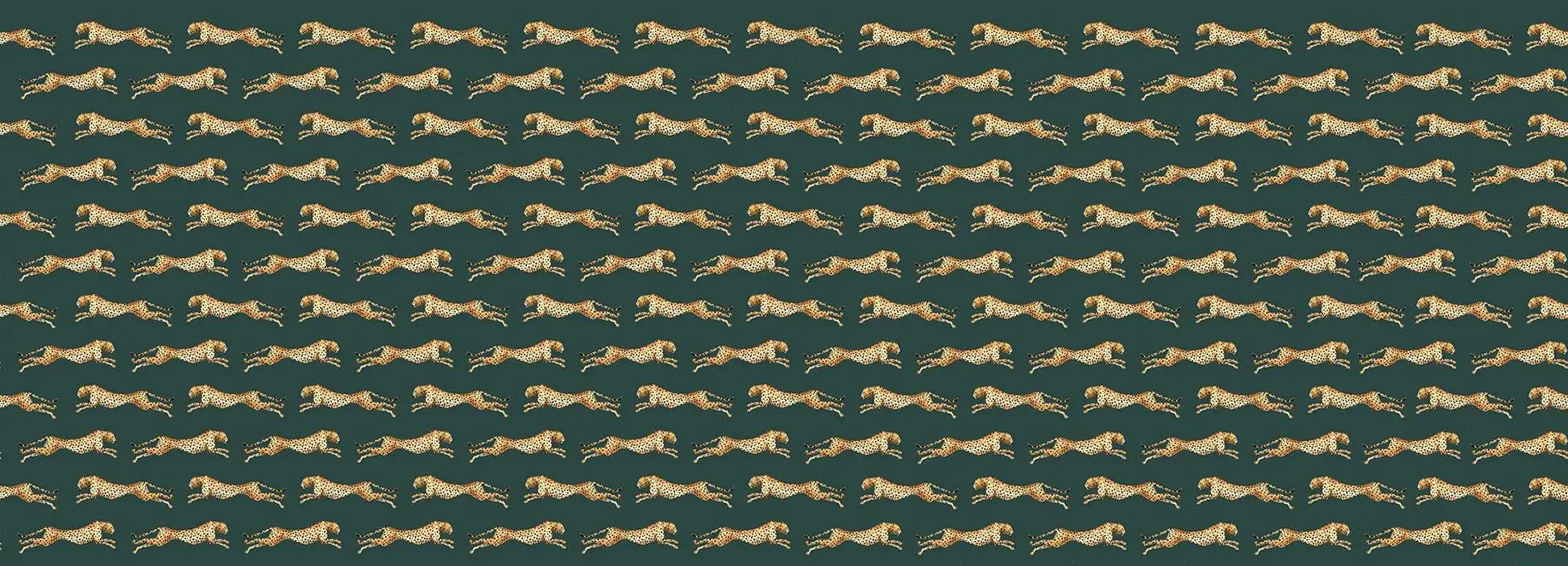 Wild Freedom Wallpaper Vladila