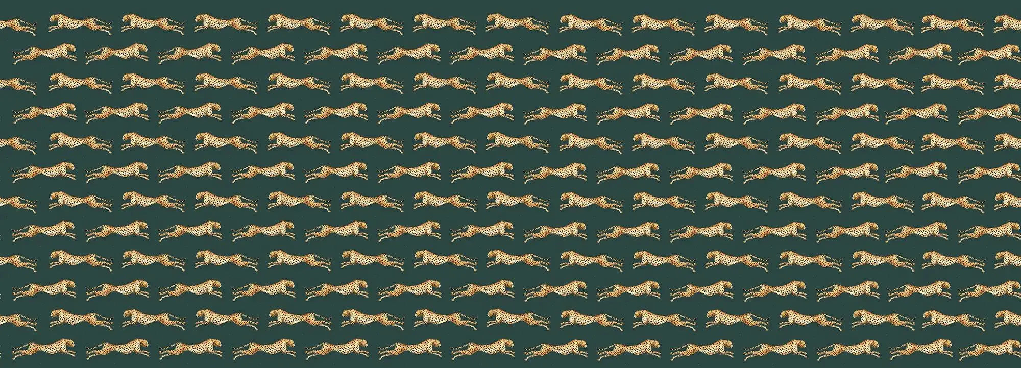 Wild Freedom Wallpaper Vladila