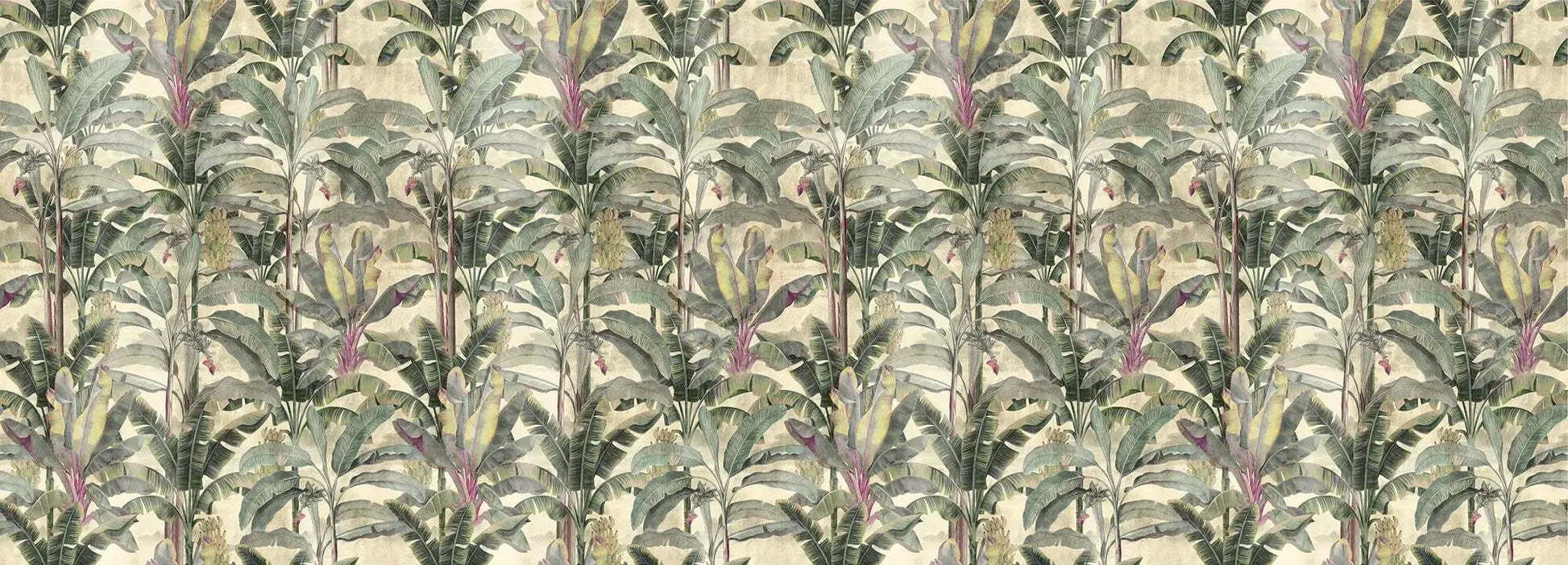 Musa Verticalia Wallpaper Vladila
