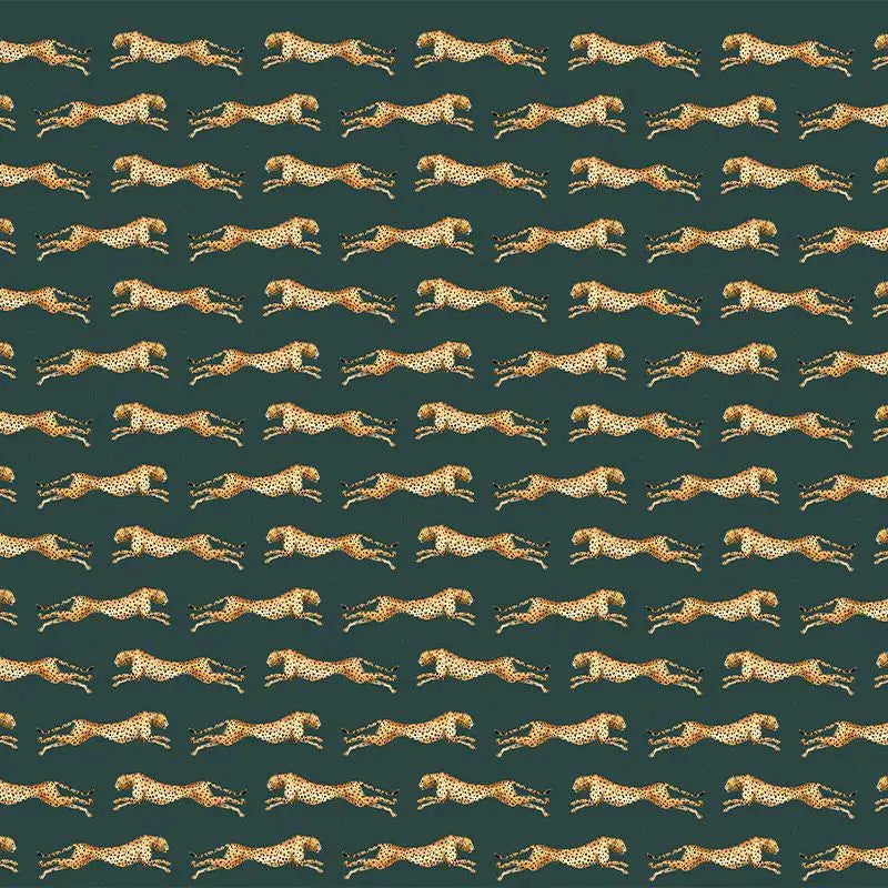 Wild Freedom Wallpaper Vladila