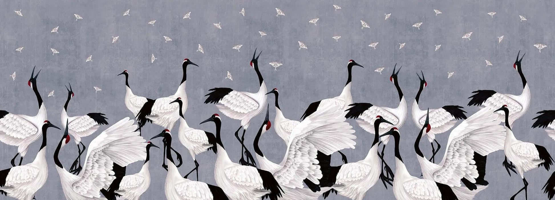 Grus Japonesis in Blue Wallpaper Vladila