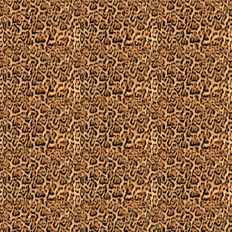Farfugium Wallpaper Vladila