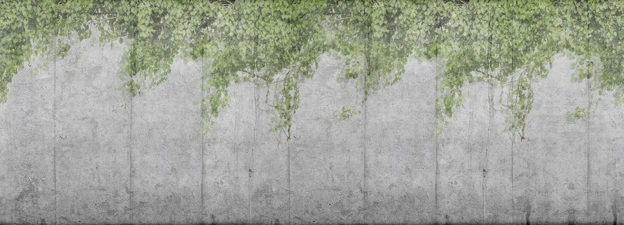 Concrete Vine Wallpaper Vladila