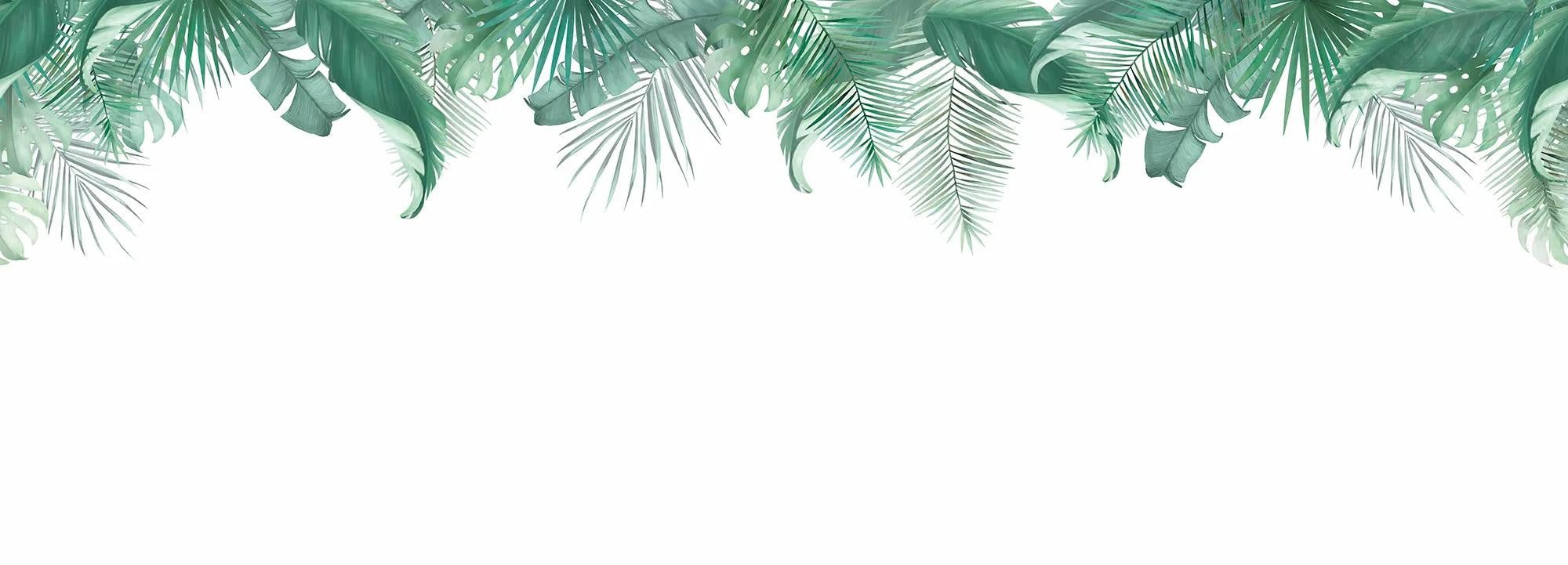 Frame Exotique Wallpaper Vladila