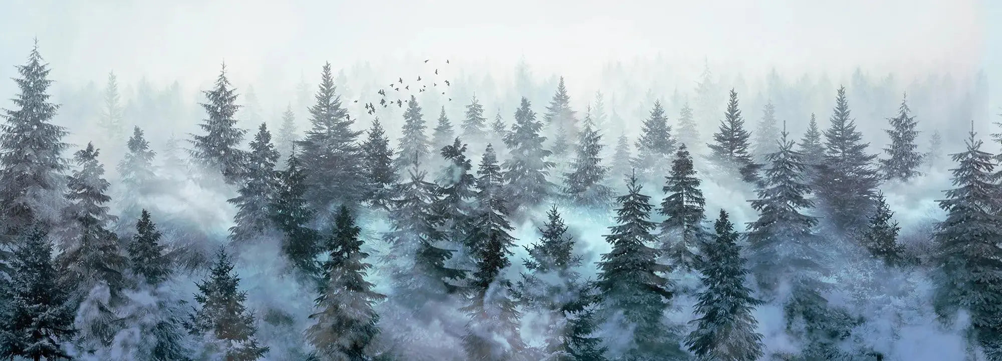 Rivian Forest Stone Wallpaper Vladila