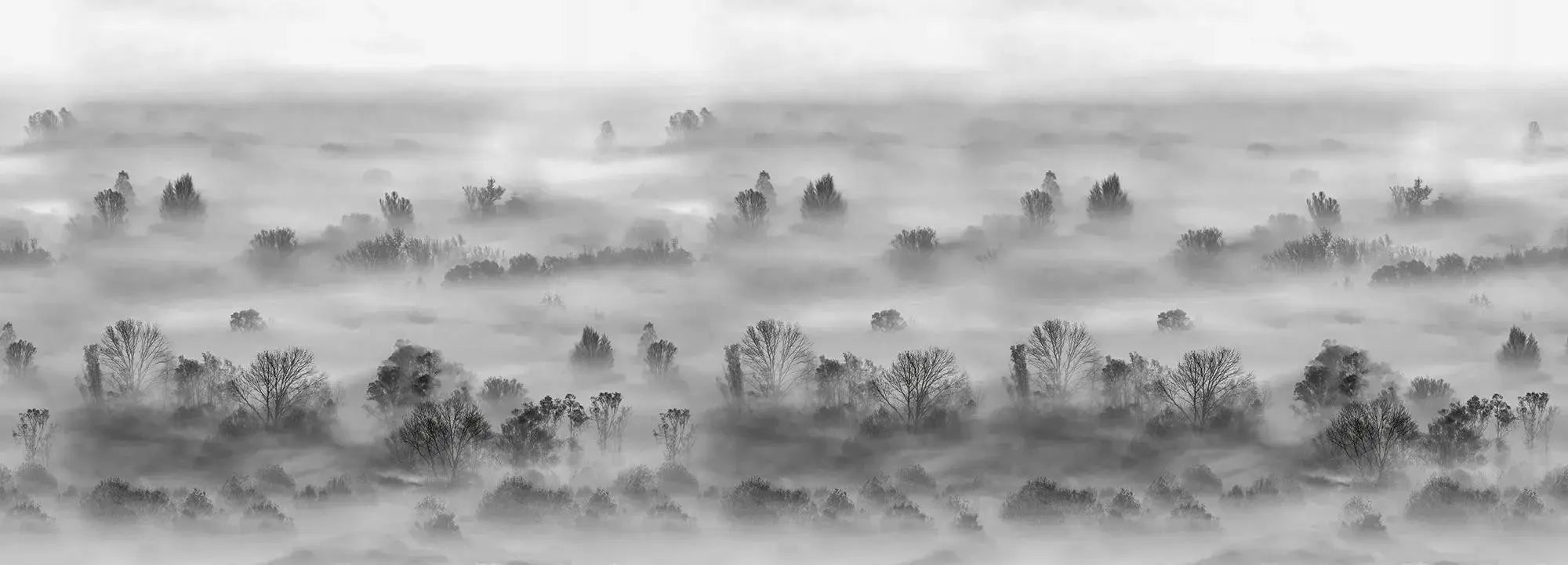 Foggy Landscape Grey Wallpaper Vladila